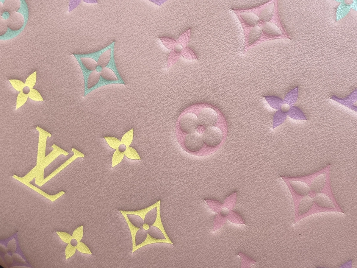 LV Coussin PM 鏈條 手拿 手袋-M11726 6 LV M11726 10