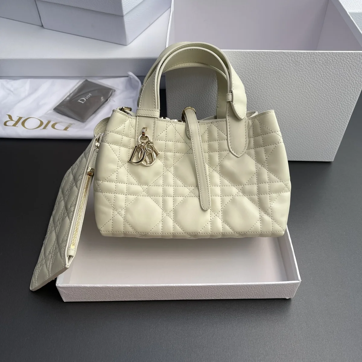 Dior Toujours 白色托特手袋PM-M2822 2 5tjhKaluFKAhEsf8rKyl