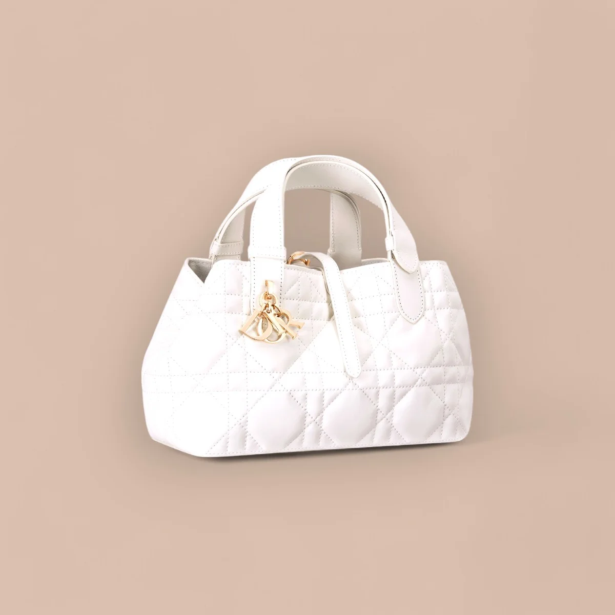 Dior Toujours 白色托特手袋PM-M2822 1 UYwHYaJQcMgshrXgmI4q