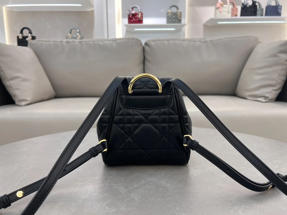 Dior Caro 黑色背囊PM-M6302 3 l 7m2EpWiFoG3rv3hLGV
